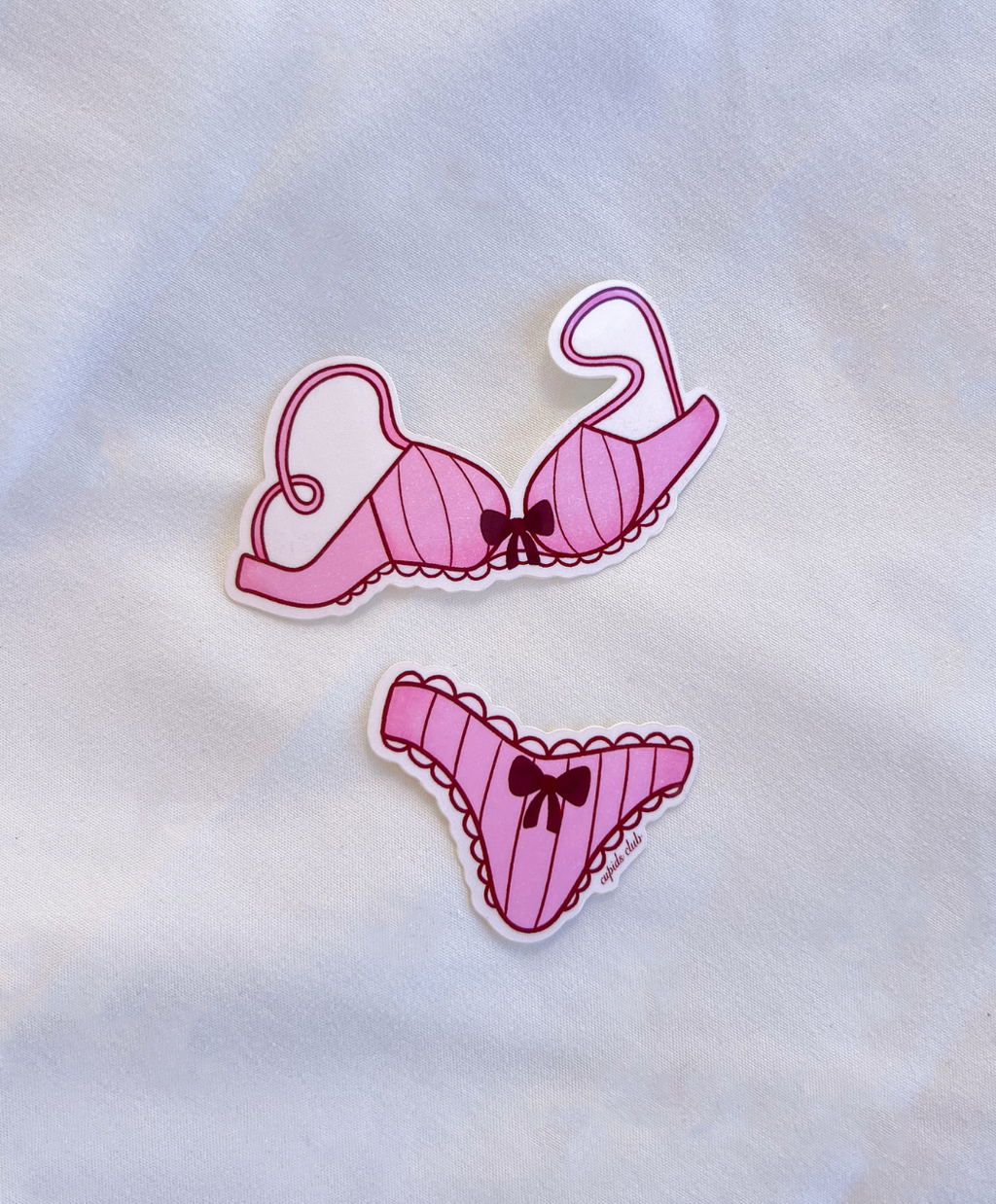 Lingerie Sticker Set includes a pink bra and matching underwear sticker set