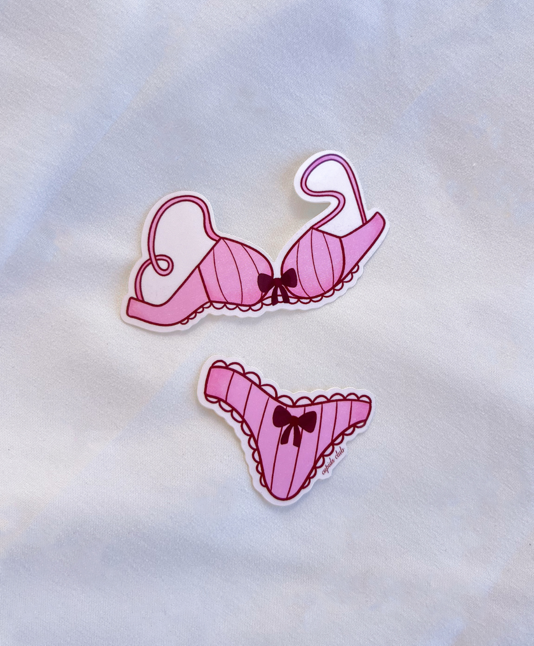 Lingerie Sticker Set includes a pink bra and matching underwear sticker set
